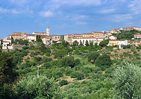 Il centro storico di Casal Velino sulla collina immerso nel verde degli olivi